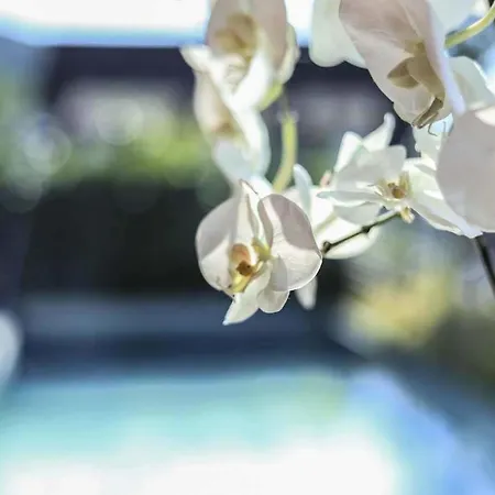 Hébergement de vacances Mit Panoramablick *